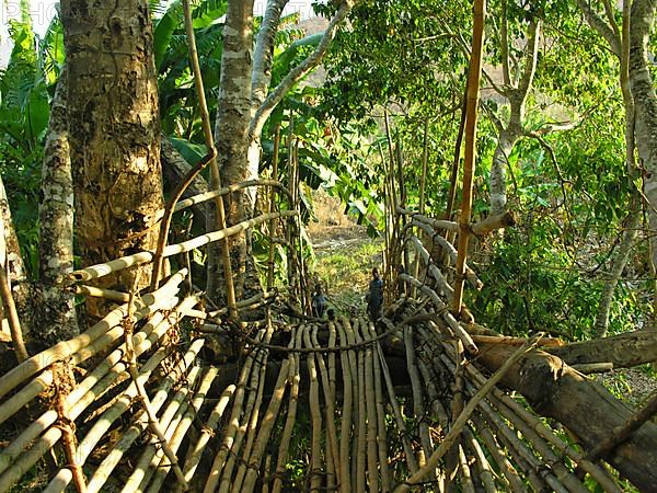 Bamboo bridge in Malawi