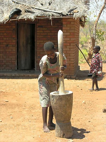 Manioc roots are crushed