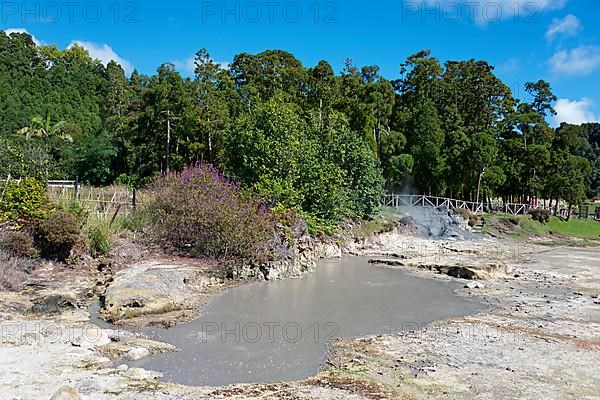 Caldeiras at Lake Furnas