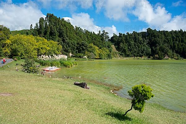 Lake Furnas