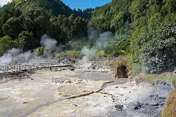 (Caldeira) at the lake Furnas, Furnas, Sao Miguel, Azores, Portugal, Lagoa das Furnas, Europe