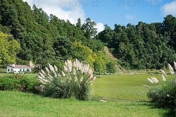 Lake Furnas