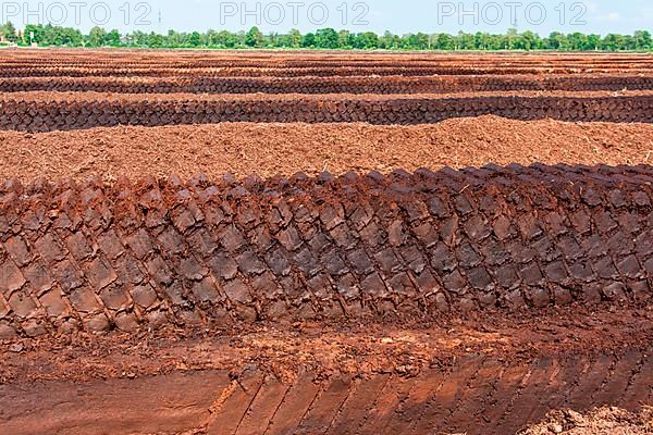 Industrial peat cutting