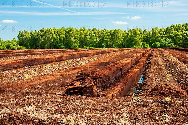 Industrial peat cutting