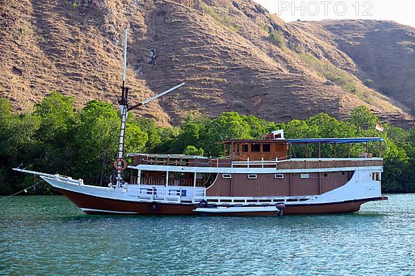 Typical tourist ship anchors off Rinca Island