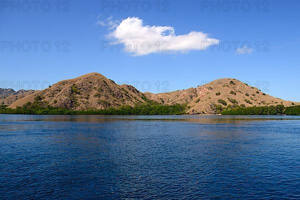 Rinca Island Hills