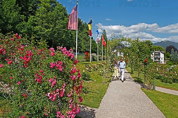 Rose garden