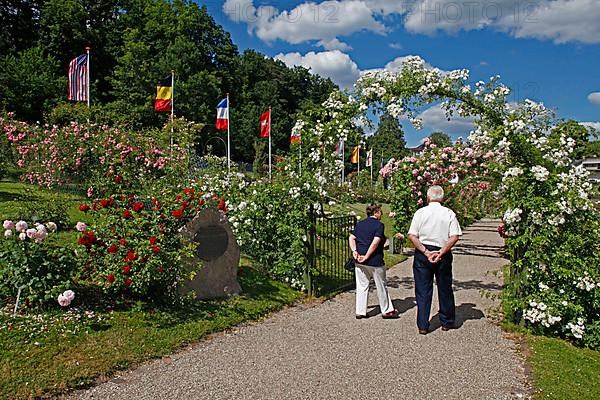 Rose garden