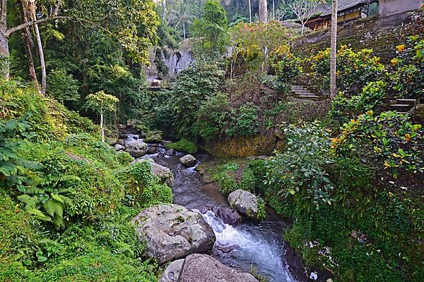 Gorge with stream