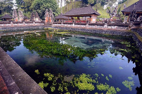 Sacred pond with underground freshwater supply