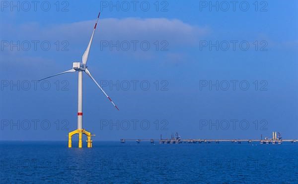 Wind farm at sea