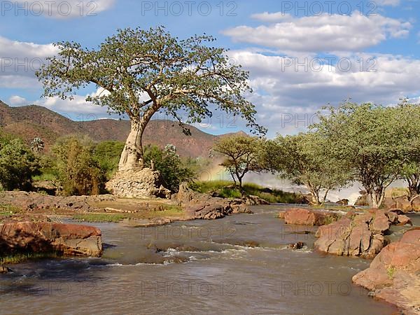 Epupa Falls with Baobab