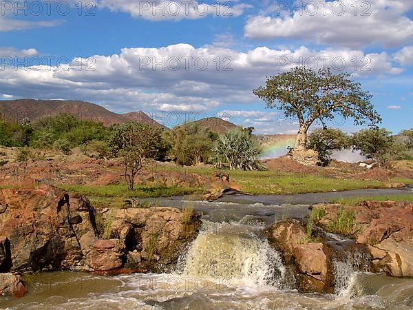 Epupa Falls with Baobab