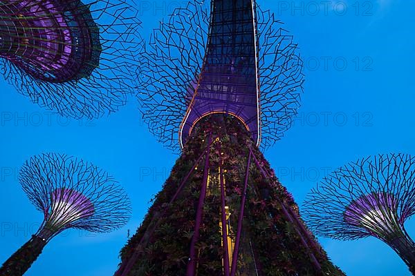 Gardens by the Bay