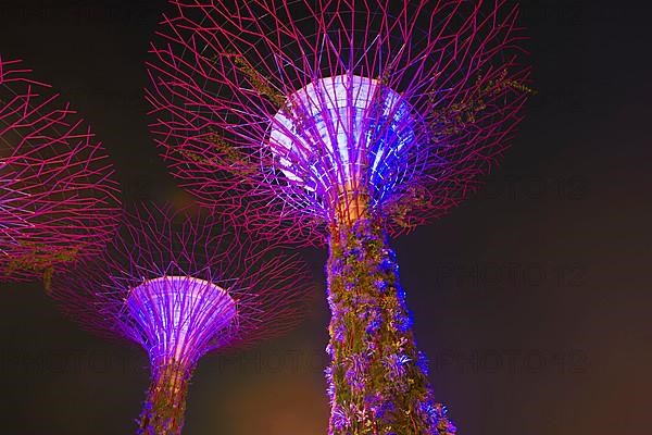 Gardens by the Bay