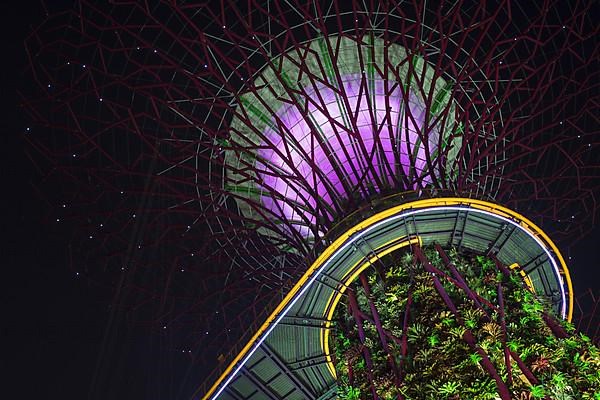 Gardens by the Bay