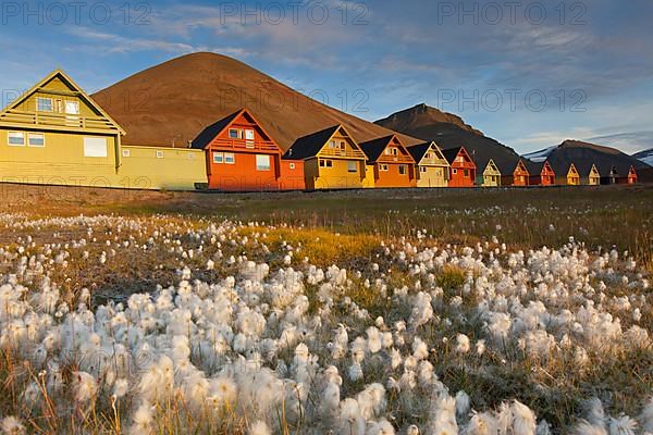 Colourful wooden houses in the settlement of Longyearbyen in summer