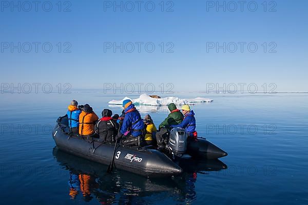 Tourists in an inflatable boat watching a male walrus