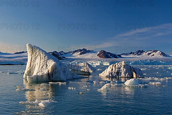 Calved ice floes of the Lilliehoeoekbreen glacier floating in Lilliehoeoekfjorden