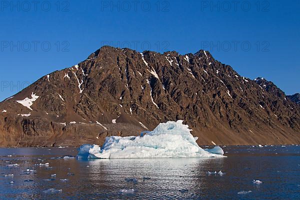 Ice floe calved from the Lilliehoeoekbreen glacier floating in Lilliehoeoekfjorden