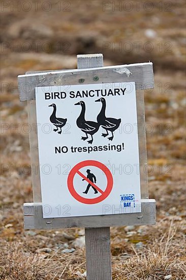 Warning sign for bird sanctuary near Ny-Alesund