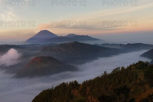 Smoking volcano Gunung Bromo