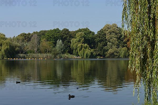 Schaefersee