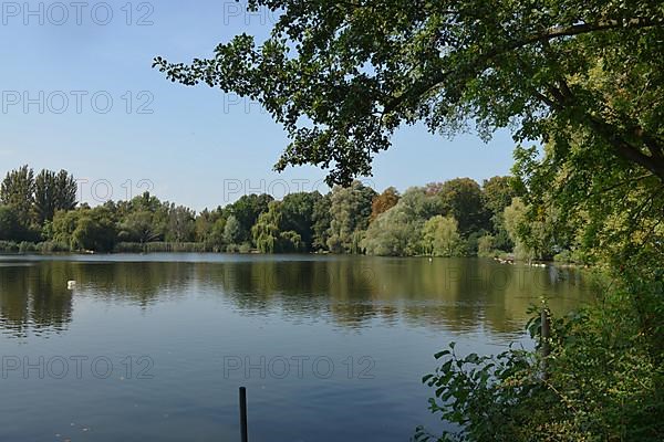 Schaefersee