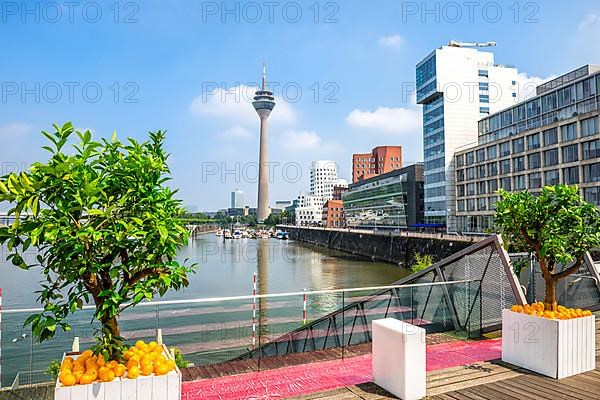 Modern office building and Rhein Tower