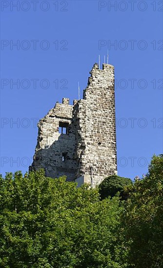 Drachenfels Castle