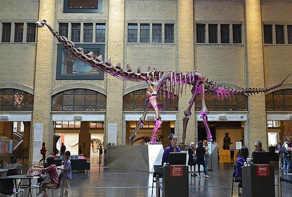 Royal Ontario Museum