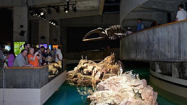 New England Aquarium