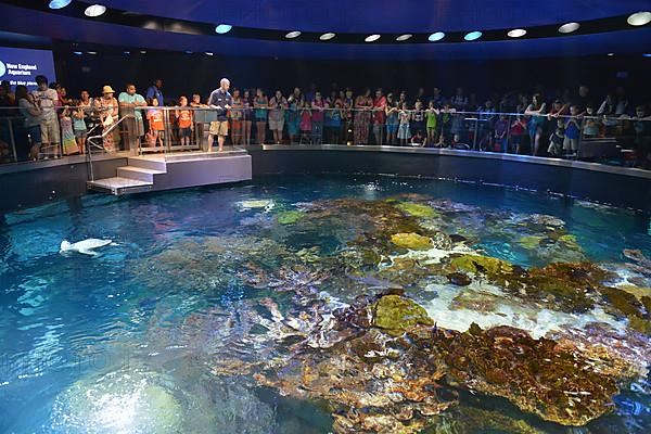 New England Aquarium