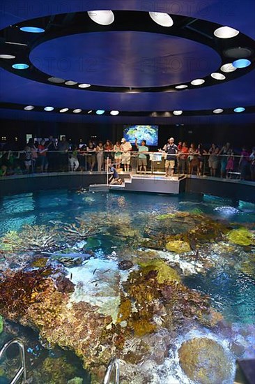 New England Aquarium