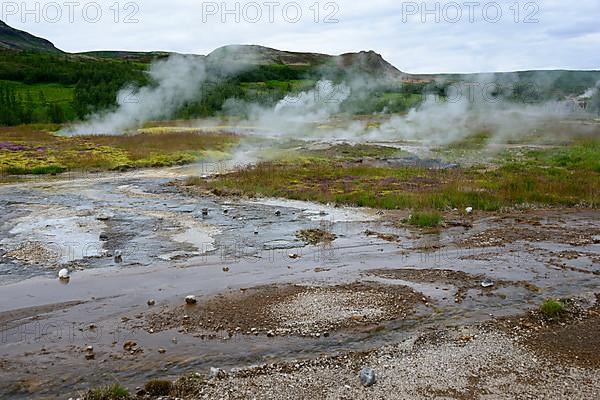 Thermal area