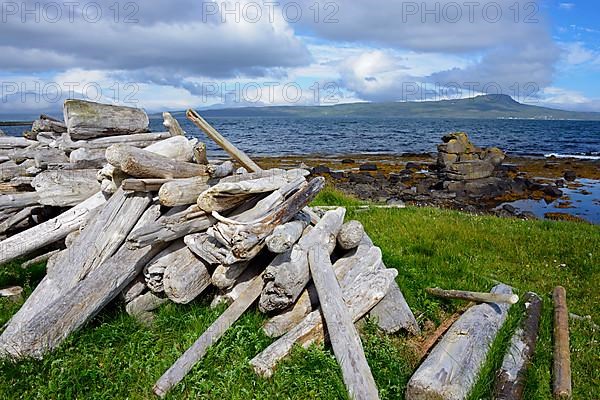 Driftwood