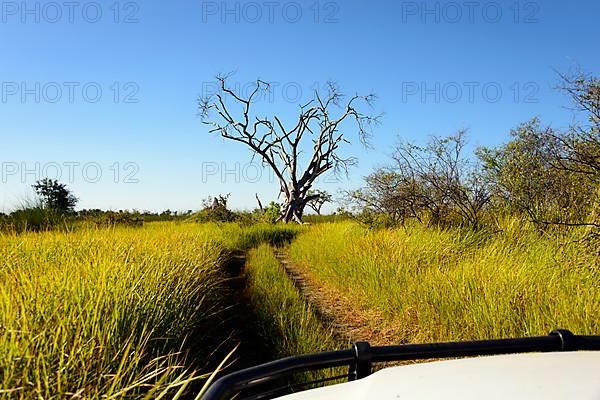 Four wheel drive vehicle