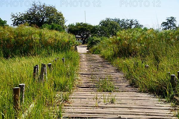 Third Bridge