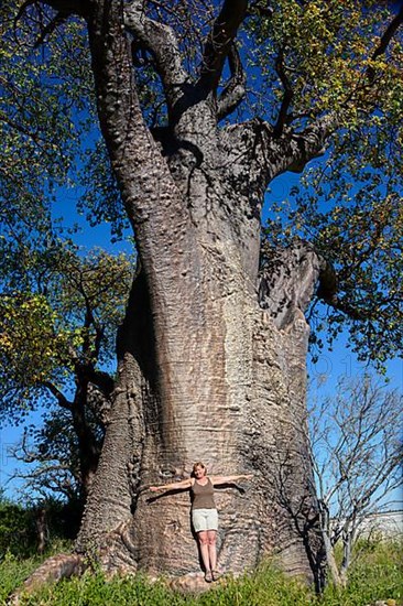 Baobab