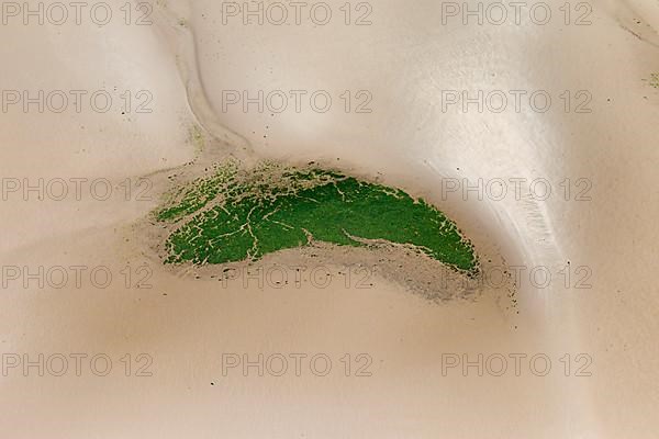 Aerial view of tidal mudflats and seagrass