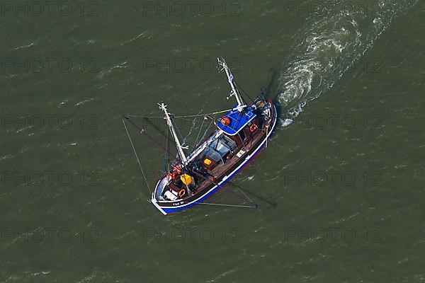 Aerial view of blue shrimp trawler boat fishing for shrimp at sea