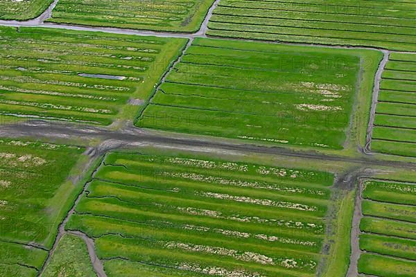 Aerial view over salt marshes at low tide