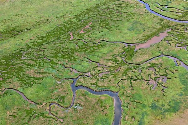 Aerial view over salt marshes at low tide