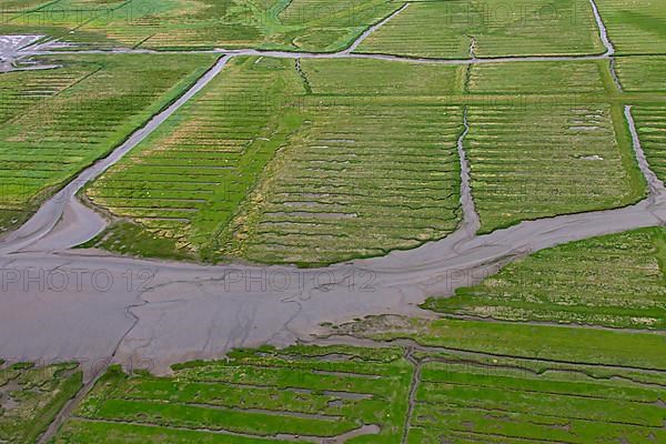 Aerial view over salt marshes at low tide