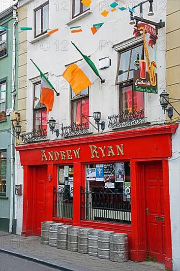 Andrew Ryan Pub