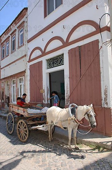 Donkey cart