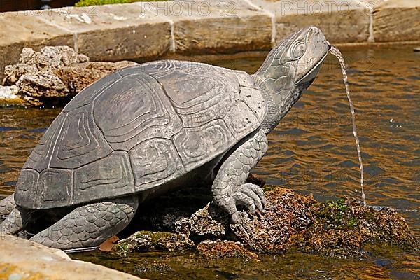 Turtle sculpture as gargoyle