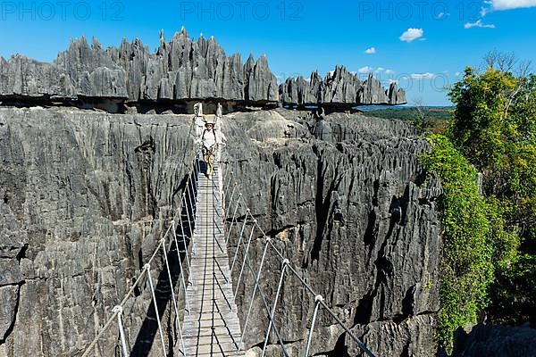 Climber crossing a suspension bridge