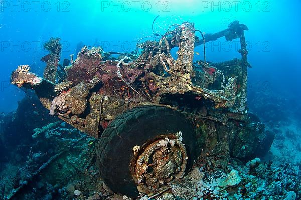 Wreck of a sunken Toyota truck