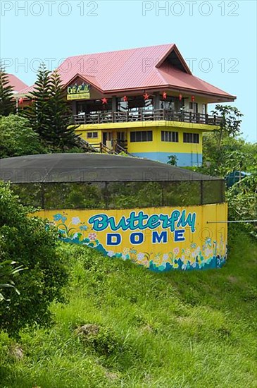 Chocolate Hills viewing platform